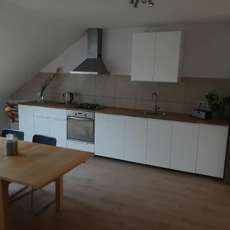 Apartman Dvorak 194 Pod Svatou Horou Pribram Exterior photo