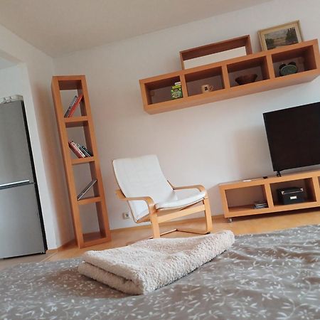 Apartman Dvorak 194 Pod Svatou Horou Pribram Exterior photo