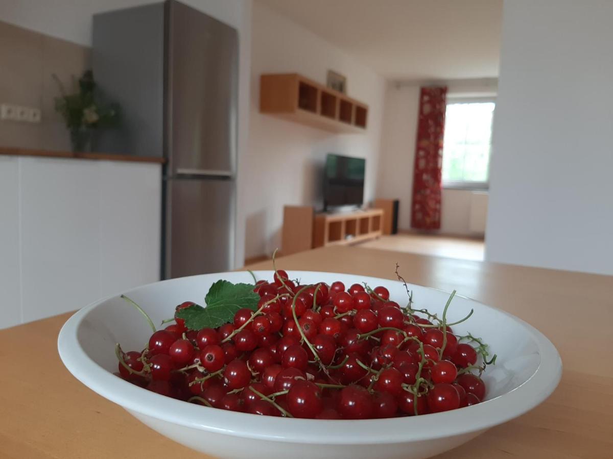 Apartman Dvorak 194 Pod Svatou Horou Pribram Exterior photo