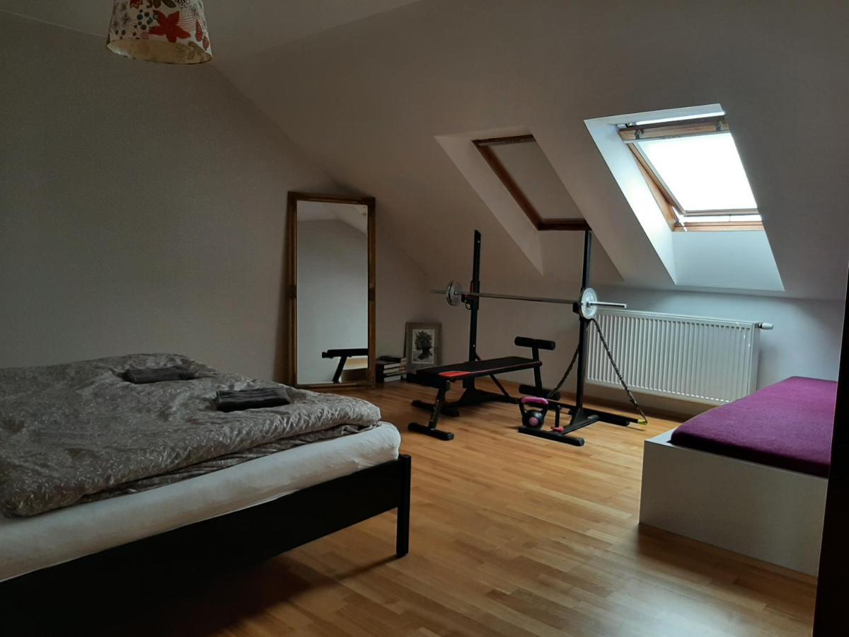 Apartman Dvorak 194 Pod Svatou Horou Pribram Exterior photo